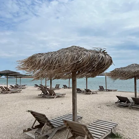 Gabriela Blaxy 올림프